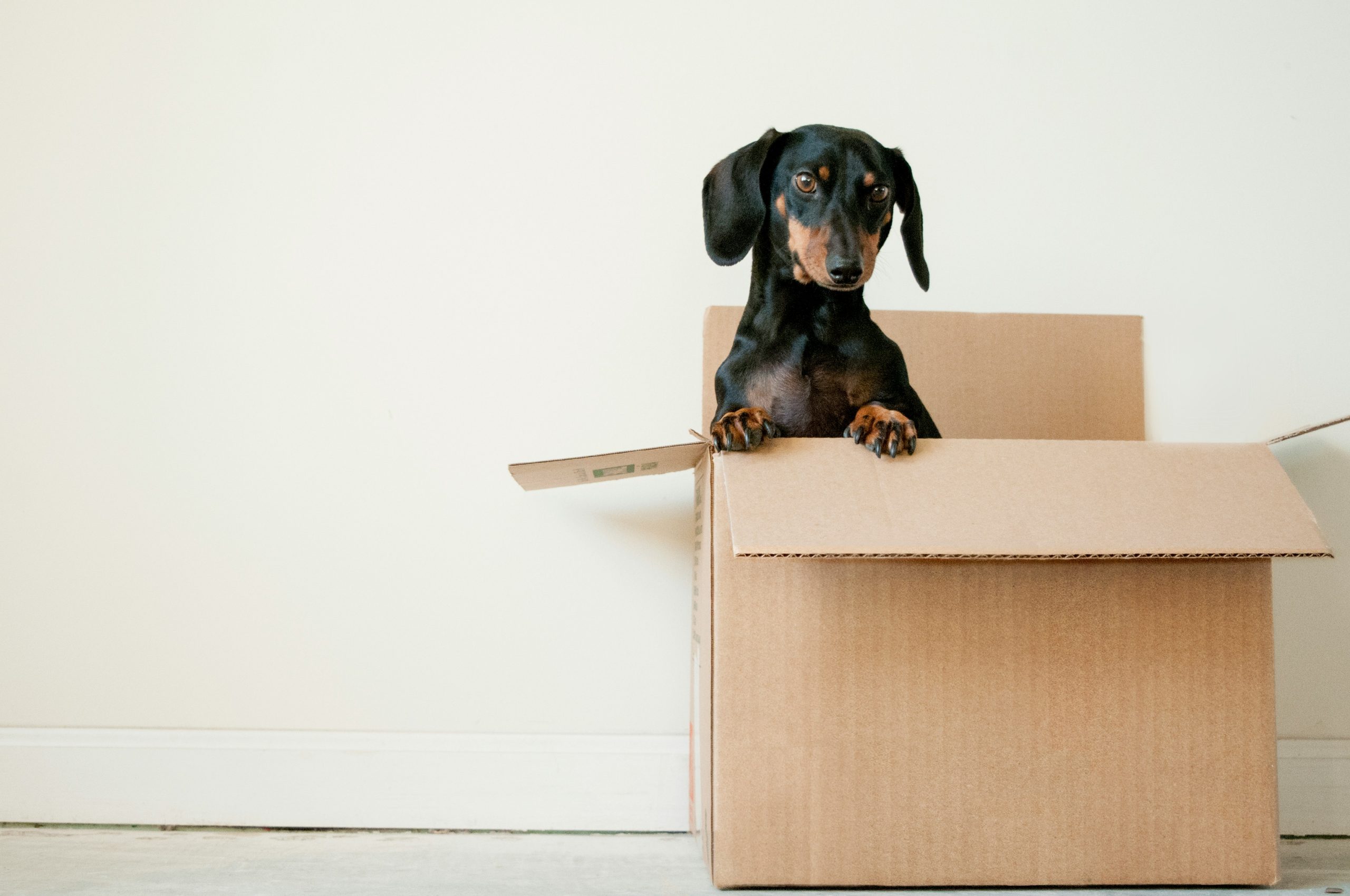 moving 1